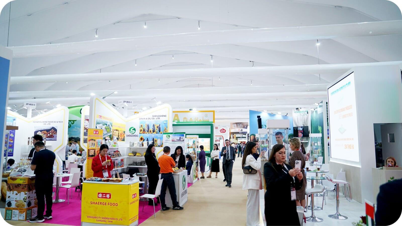 Polygon Tent Interior 